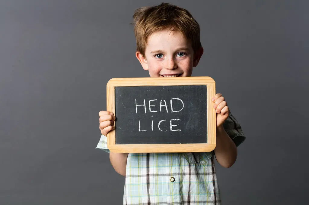 San Mateo and Burlingame School Head Lice Policies LiceDoctors